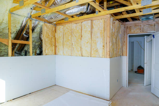 Best Vapor Barrier Installation  in Ridge Wood Heights, FL